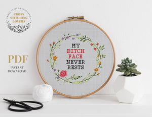 Funny Cross stitch pattern